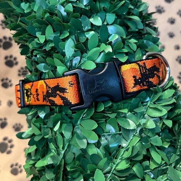Lupine Pet Other - Lupine Retired Microbatch Wicked Dog Collar